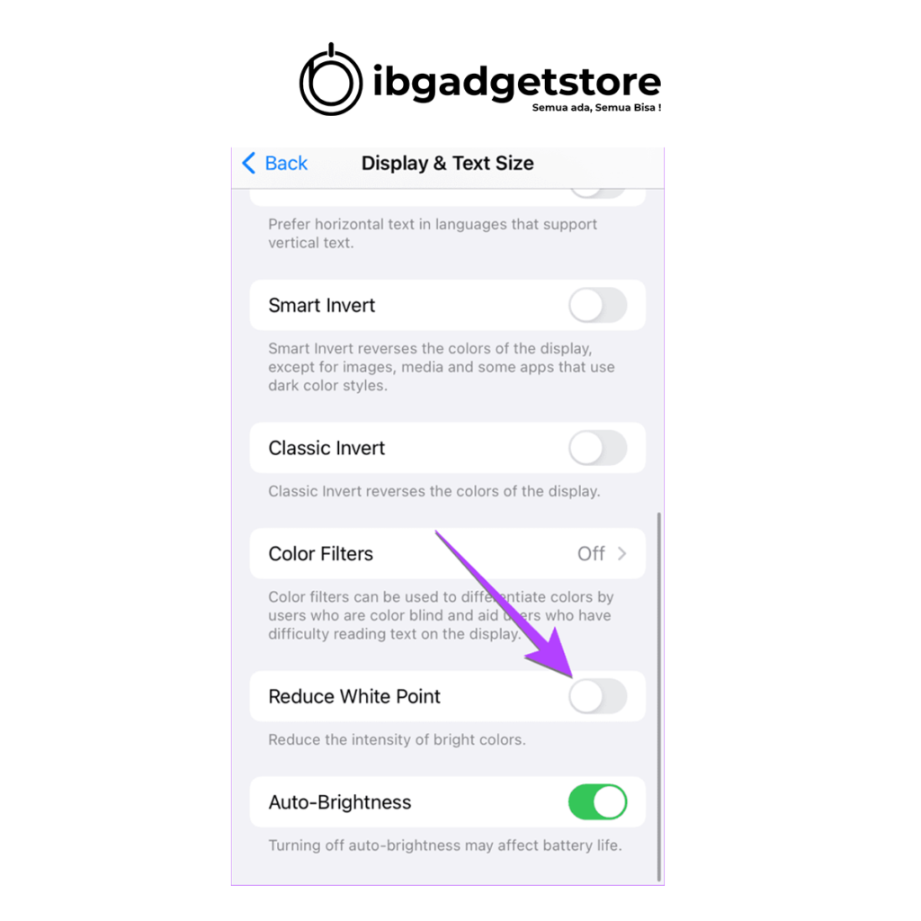 Menonaktifkan Kurangi Titik Putih Untuk Memperbaiki Mode Standby iPhone Berwarna Merah iOS 17